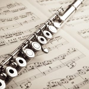 concert flute display image